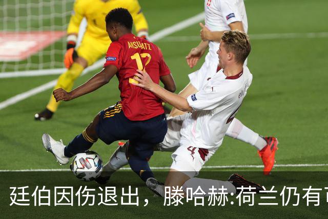廷伯因伤退出，滕哈赫:荷兰仍有可能进决赛 但失去核心之一很痛苦