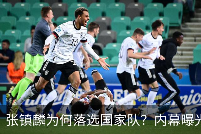 张镇麟为何落选国家队？内幕曝光，叫人心疼，郭士强并没放弃他